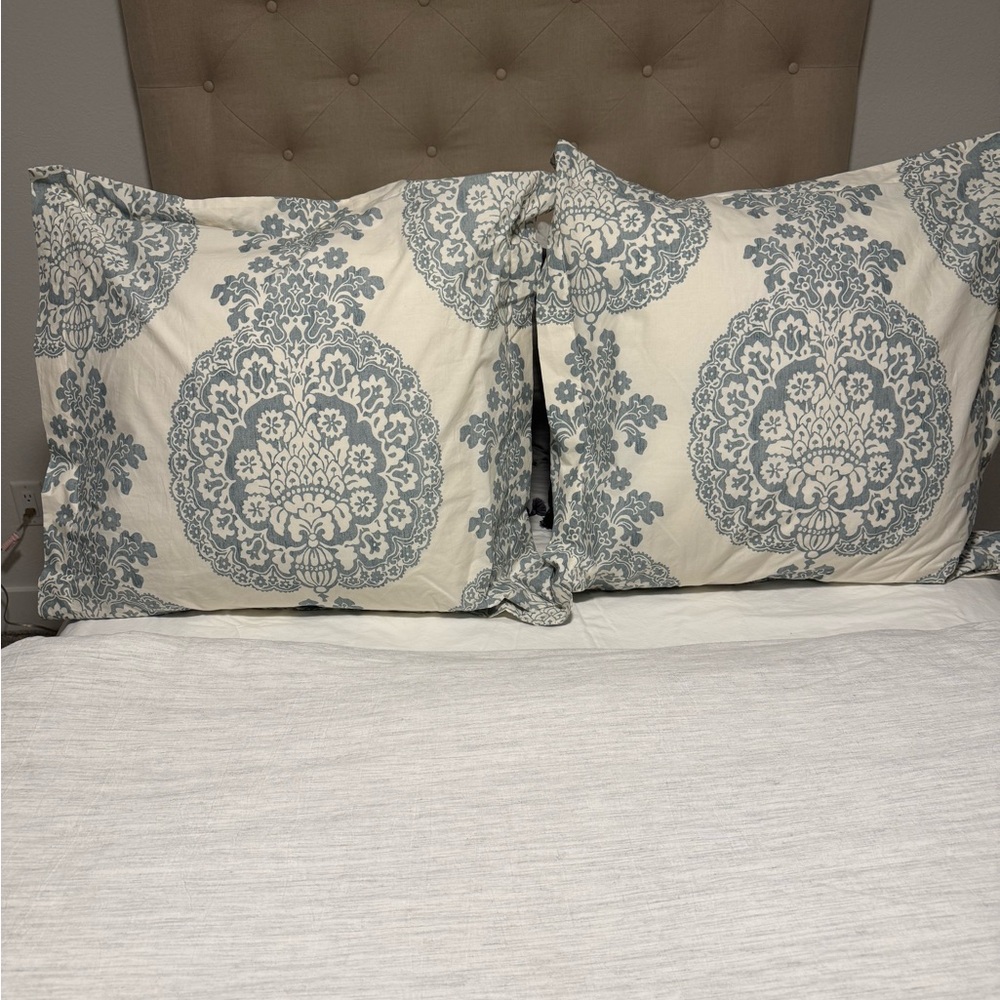 Blue and Cream Paisley Euro Shams